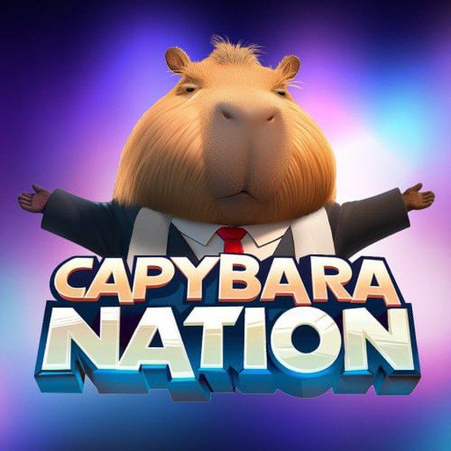 Capybara Nation Daily Combo